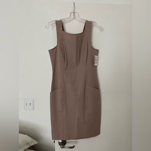 Theory Mauve Dress with Pockets